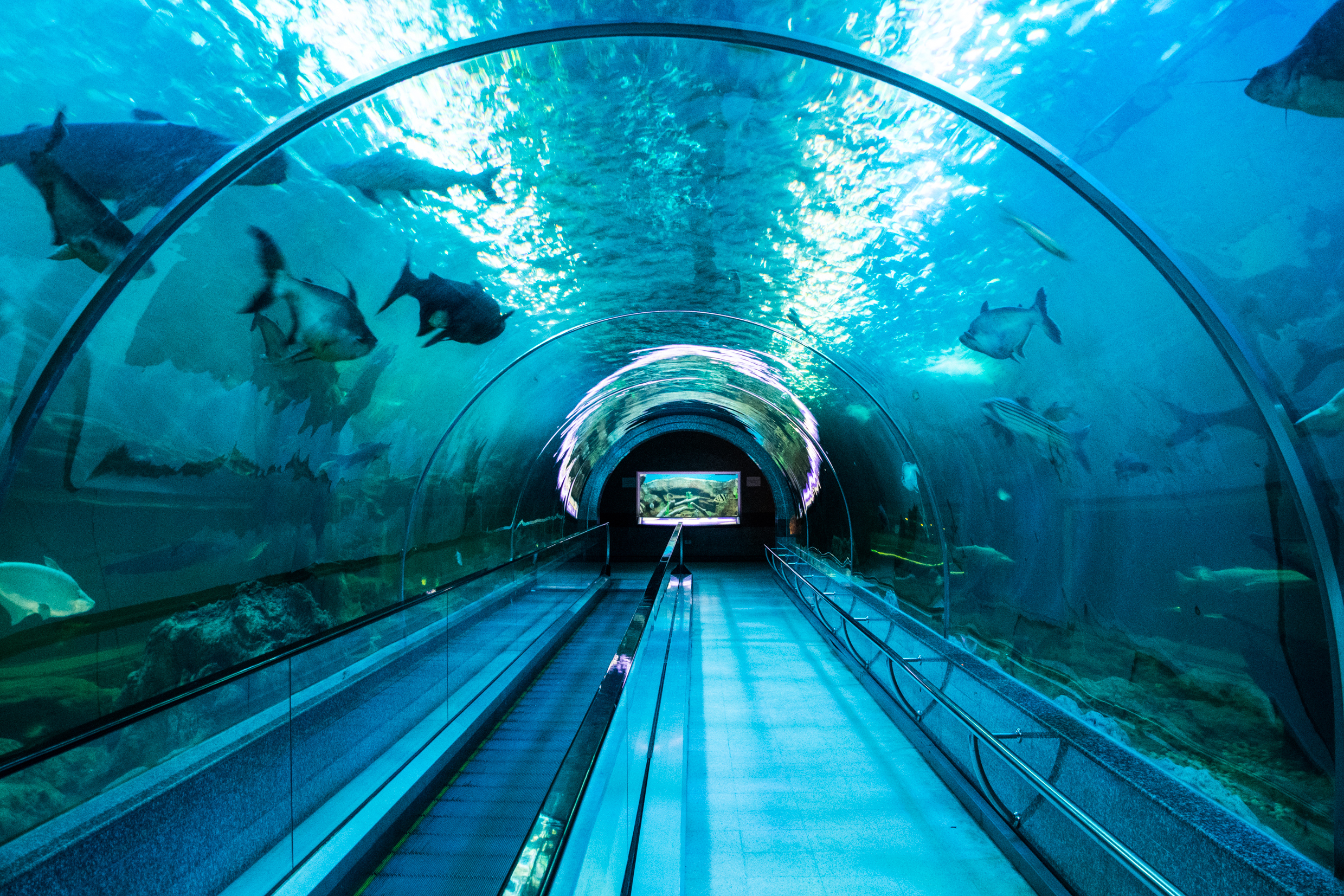 Sea Life with disabled access including mobility scooter ramps.