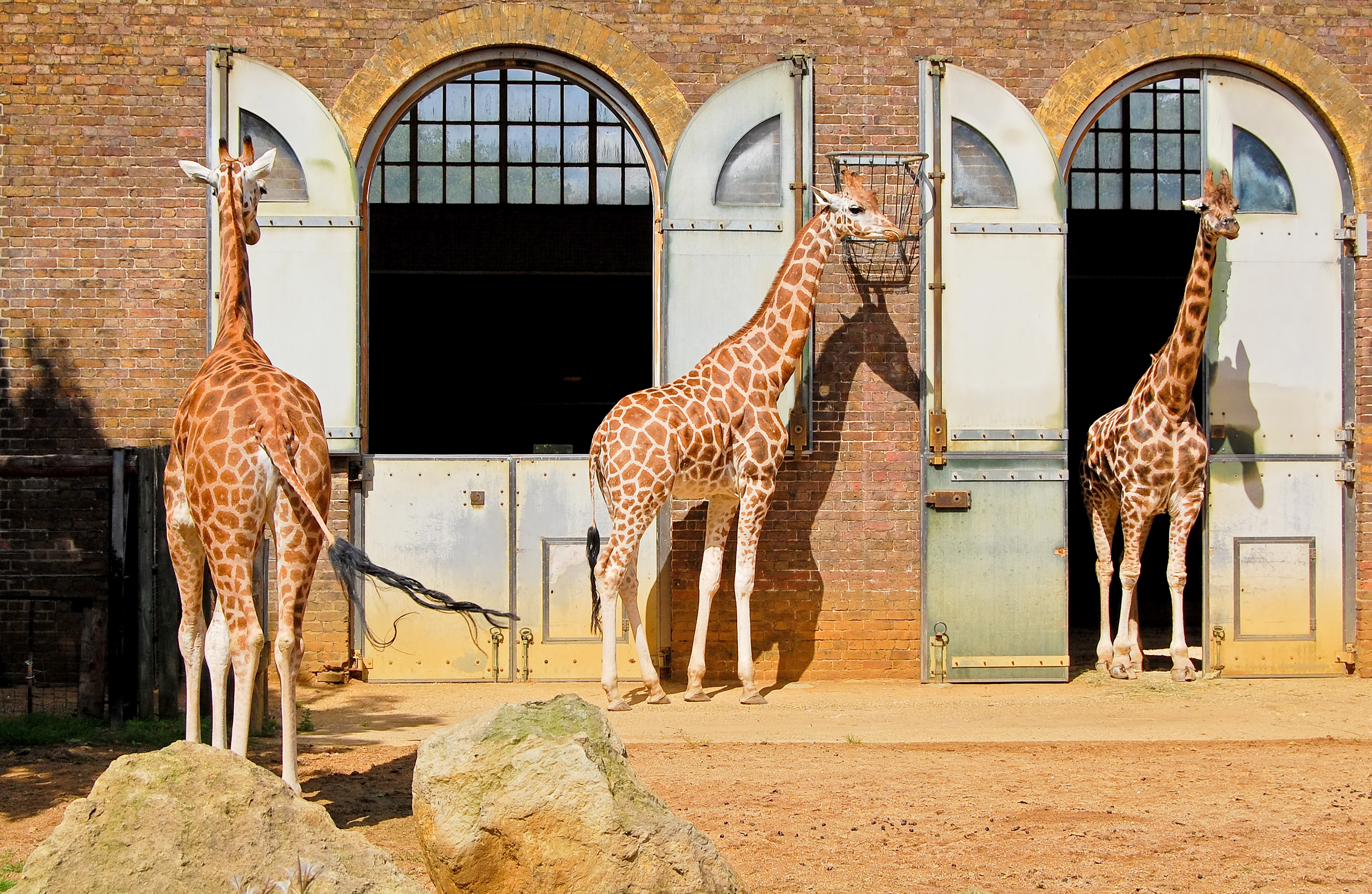 London Zoo with disabled access